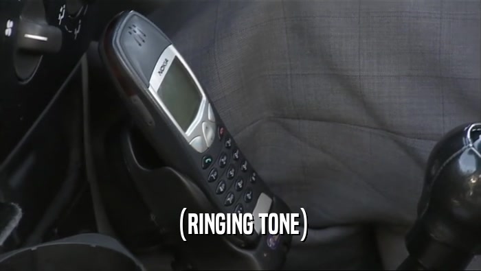 (RINGING TONE)  