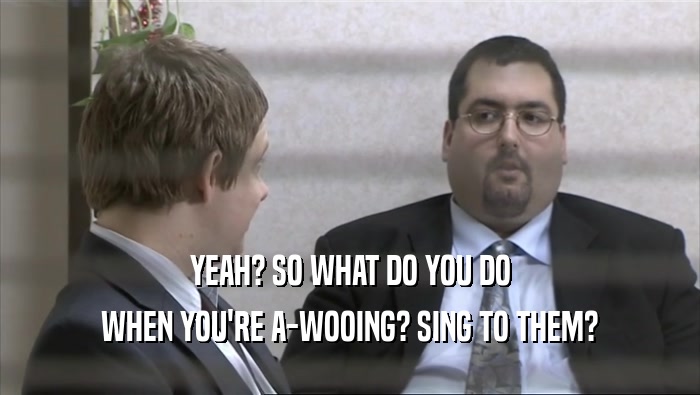 YEAH? SO WHAT DO YOU DO
 WHEN YOU'RE A-WOOING? SING TO THEM?
 