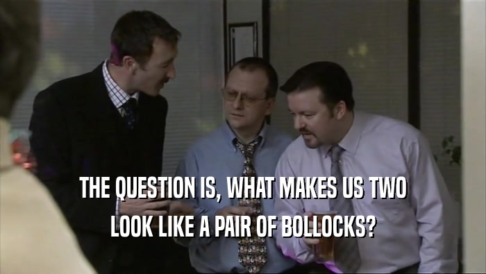 THE QUESTION IS, WHAT MAKES US TWO LOOK LIKE A PAIR OF BOLLOCKS? 