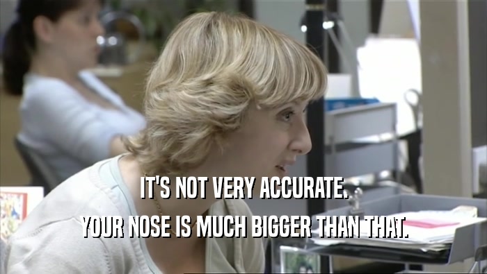 IT'S NOT VERY ACCURATE. YOUR NOSE IS MUCH BIGGER THAN THAT. 