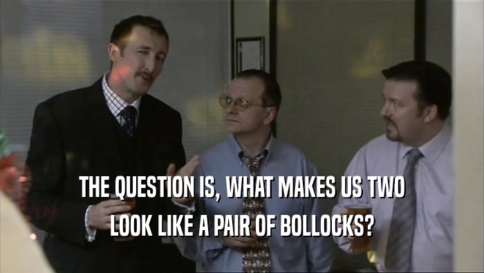 THE QUESTION IS, WHAT MAKES US TWO LOOK LIKE A PAIR OF BOLLOCKS? 