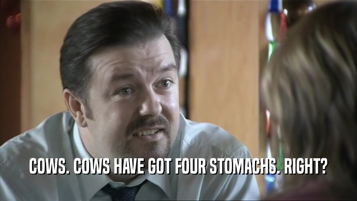 COWS. COWS HAVE GOT FOUR STOMACHS. RIGHT?
  