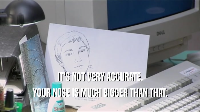 IT'S NOT VERY ACCURATE. YOUR NOSE IS MUCH BIGGER THAN THAT. 