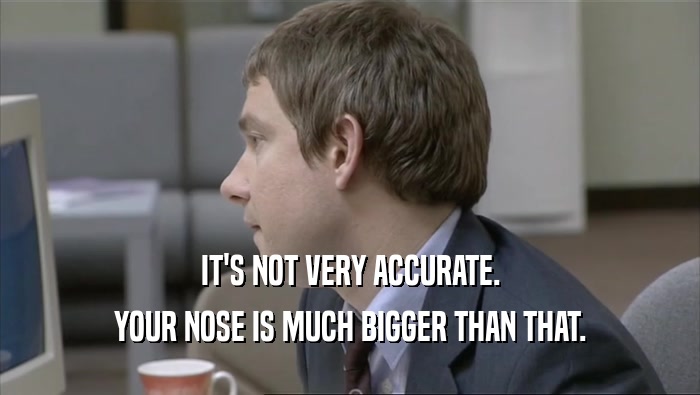 IT'S NOT VERY ACCURATE. YOUR NOSE IS MUCH BIGGER THAN THAT. 