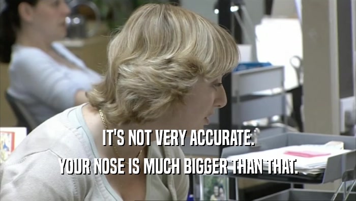 IT'S NOT VERY ACCURATE. YOUR NOSE IS MUCH BIGGER THAN THAT. 