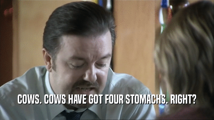 COWS. COWS HAVE GOT FOUR STOMACHS. RIGHT?  