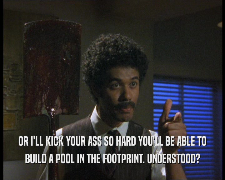 OR I'LL KICK YOUR ASS SO HARD YOU'LL BE ABLE TO BUILD A POOL IN THE FOOTPRINT. UNDERSTOOD? 