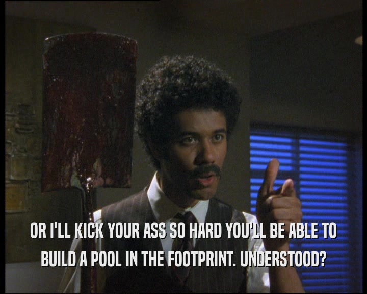 OR I'LL KICK YOUR ASS SO HARD YOU'LL BE ABLE TO BUILD A POOL IN THE FOOTPRINT. UNDERSTOOD? 