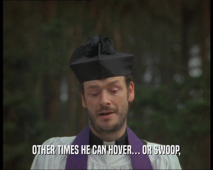 OTHER TIMES HE CAN HOVER… OR SWOOP,  