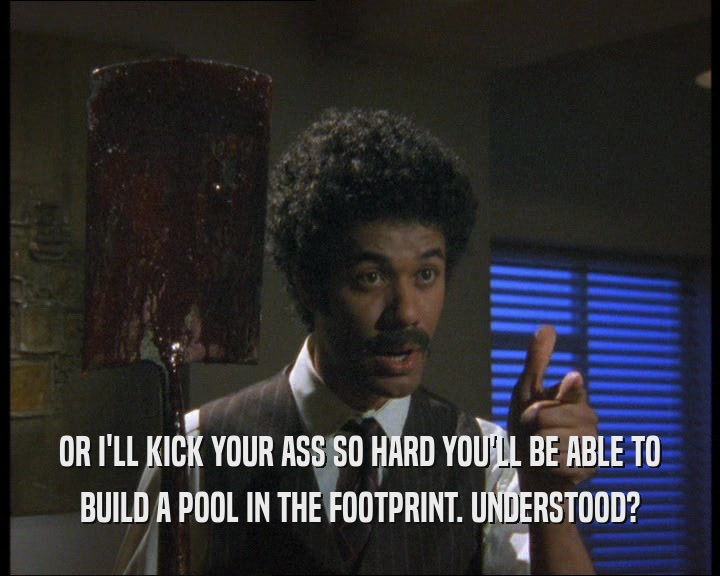 OR I'LL KICK YOUR ASS SO HARD YOU'LL BE ABLE TO BUILD A POOL IN THE FOOTPRINT. UNDERSTOOD? 