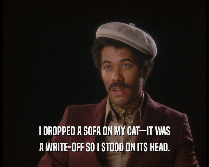 I DROPPED A SOFA ON MY CAT—IT WAS
 A WRITE-OFF SO I STOOD ON ITS HEAD.
 