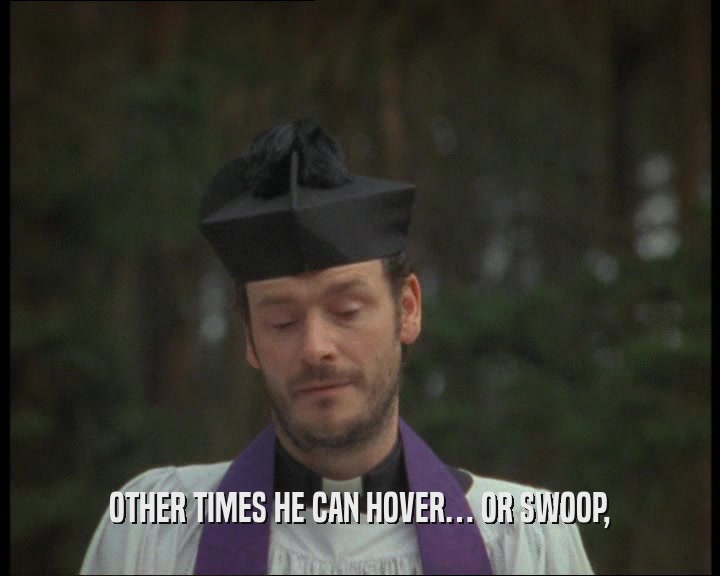OTHER TIMES HE CAN HOVER… OR SWOOP,  