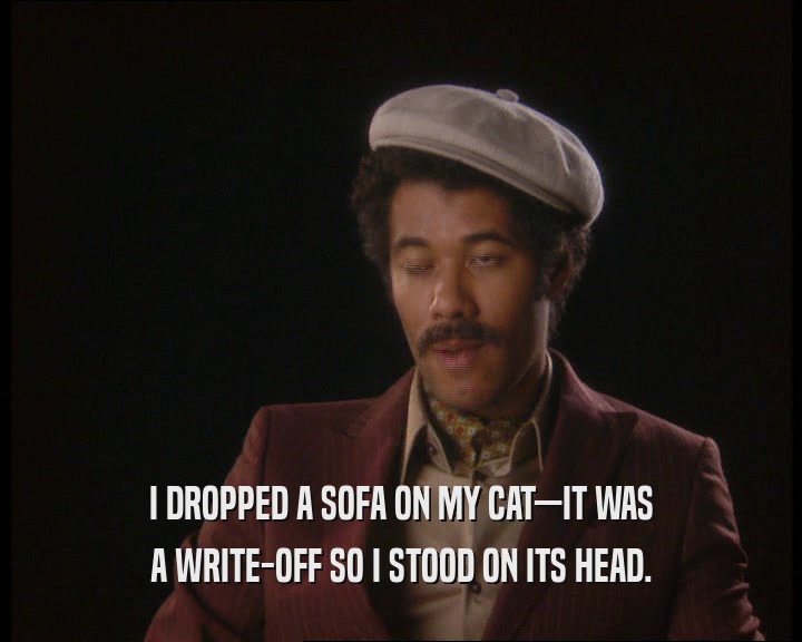 I DROPPED A SOFA ON MY CAT—IT WAS A WRITE-OFF SO I STOOD ON ITS HEAD. 