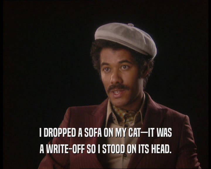 I DROPPED A SOFA ON MY CAT—IT WAS A WRITE-OFF SO I STOOD ON ITS HEAD. 
