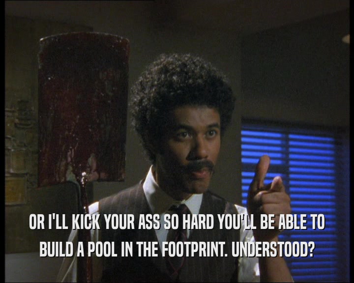 OR I'LL KICK YOUR ASS SO HARD YOU'LL BE ABLE TO BUILD A POOL IN THE FOOTPRINT. UNDERSTOOD? 