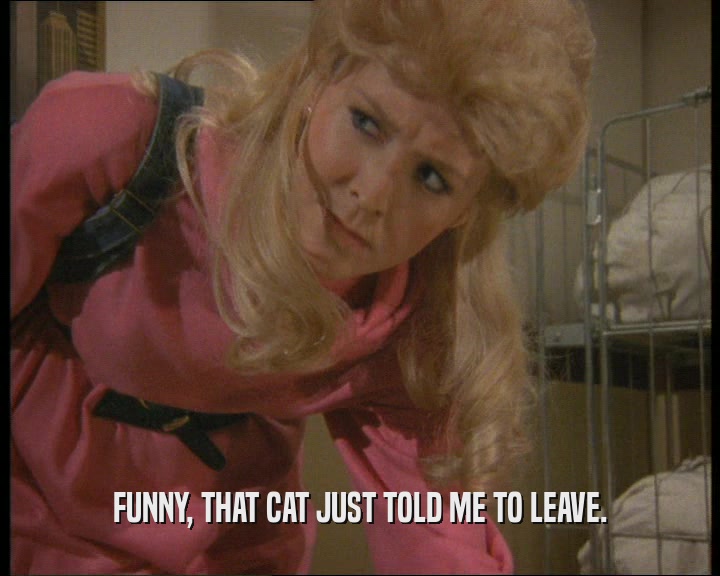 FUNNY, THAT CAT JUST TOLD ME TO LEAVE.
  
