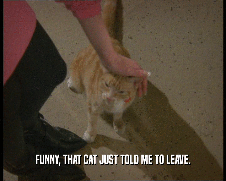 FUNNY, THAT CAT JUST TOLD ME TO LEAVE.
  