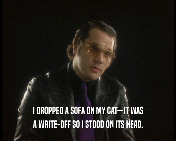 I DROPPED A SOFA ON MY CAT—IT WAS
 A WRITE-OFF SO I STOOD ON ITS HEAD.
 