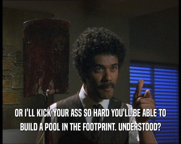 OR I'LL KICK YOUR ASS SO HARD YOU'LL BE ABLE TO
 BUILD A POOL IN THE FOOTPRINT. UNDERSTOOD?
 