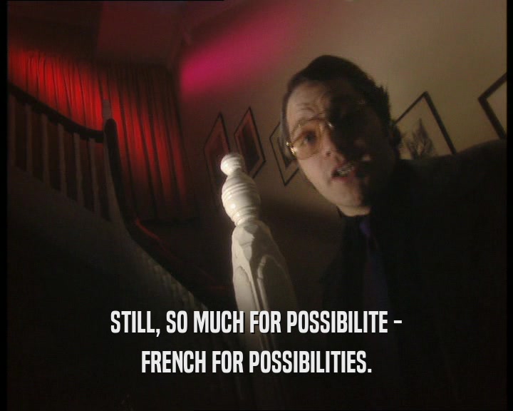 STILL, SO MUCH FOR POSSIBILITE - FRENCH FOR POSSIBILITIES. 