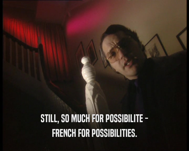 STILL, SO MUCH FOR POSSIBILITE - FRENCH FOR POSSIBILITIES. 