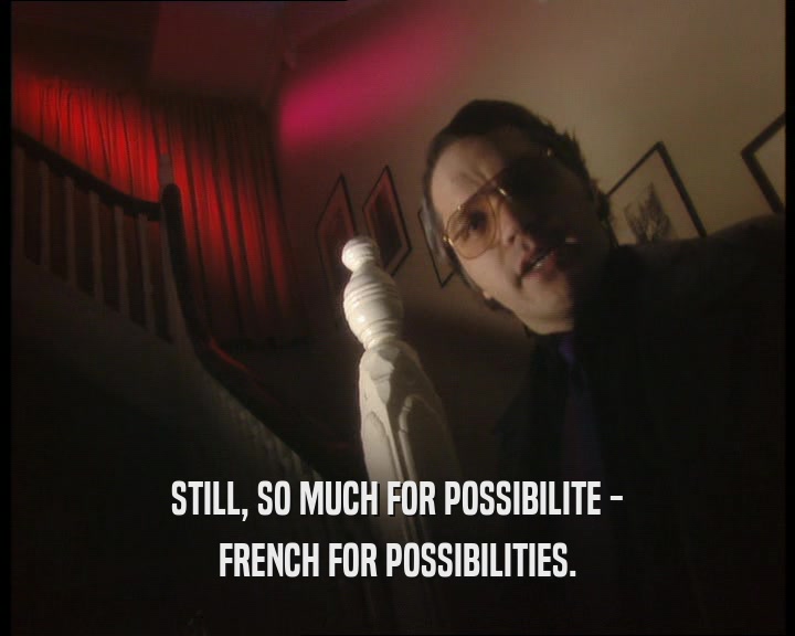 STILL, SO MUCH FOR POSSIBILITE - FRENCH FOR POSSIBILITIES. 
