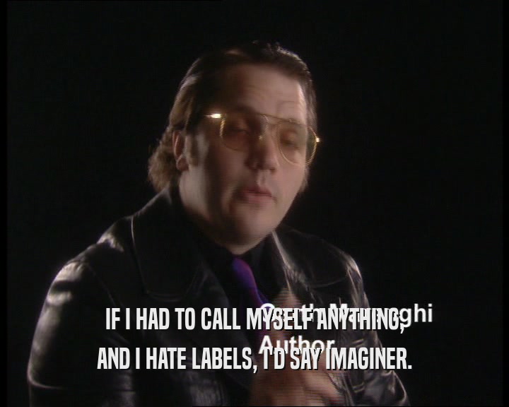 IF I HAD TO CALL MYSELF ANYTHING,
 AND I HATE LABELS, I'D SAY IMAGINER.
 