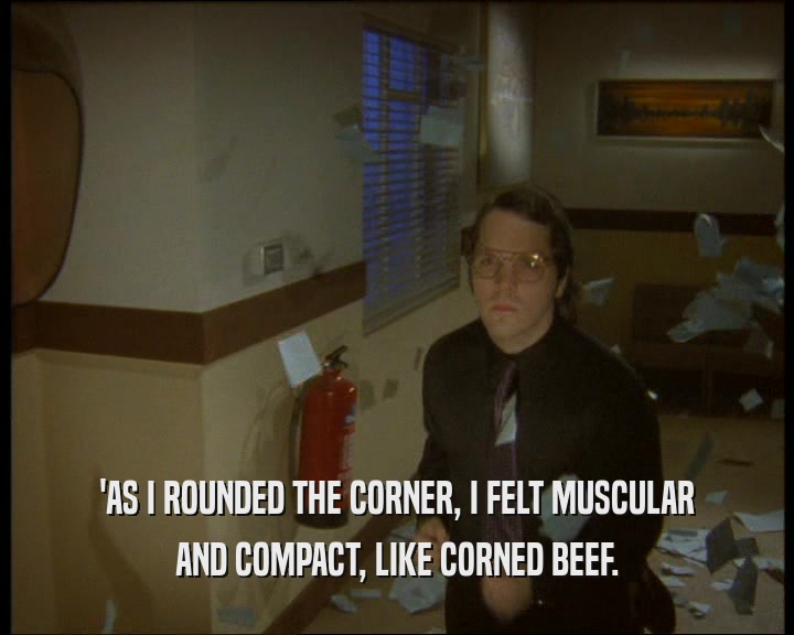 'AS I ROUNDED THE CORNER, I FELT MUSCULAR AND COMPACT, LIKE CORNED BEEF. 