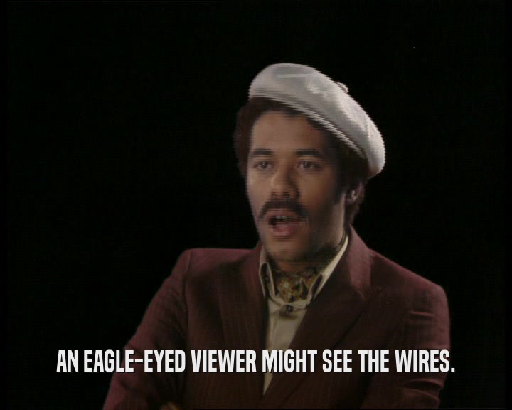 AN EAGLE-EYED VIEWER MIGHT SEE THE WIRES.
  