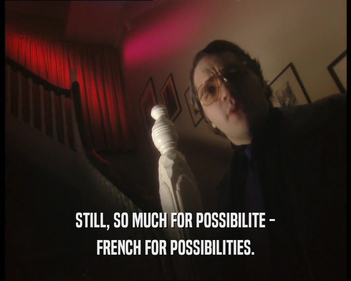 STILL, SO MUCH FOR POSSIBILITE - FRENCH FOR POSSIBILITIES. 