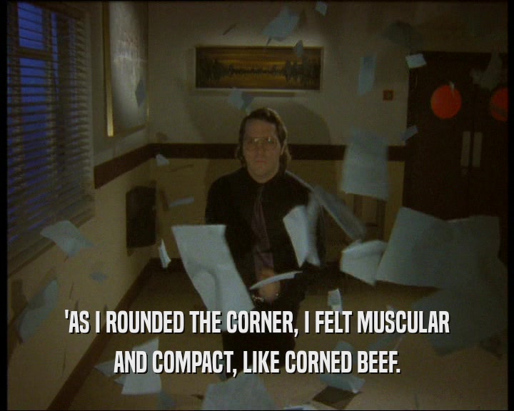 'AS I ROUNDED THE CORNER, I FELT MUSCULAR
 AND COMPACT, LIKE CORNED BEEF.
 