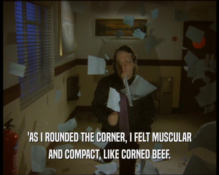 'AS I ROUNDED THE CORNER, I FELT MUSCULAR
 AND COMPACT, LIKE CORNED BEEF.
 