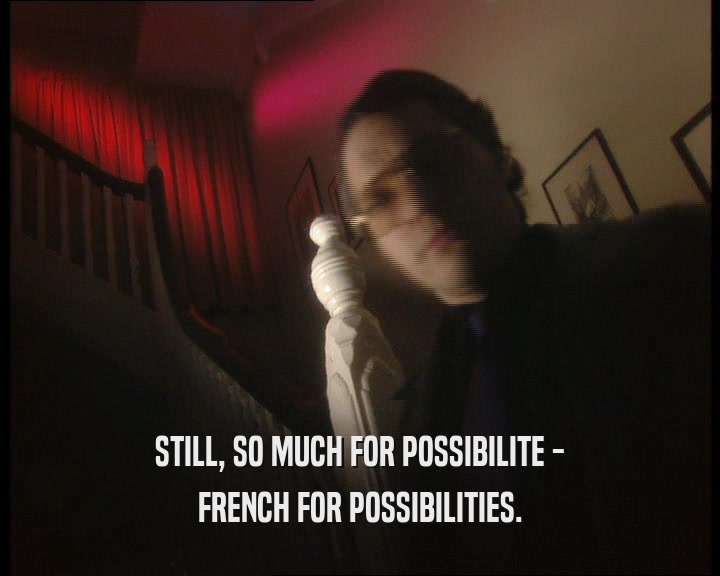 STILL, SO MUCH FOR POSSIBILITE - FRENCH FOR POSSIBILITIES. 