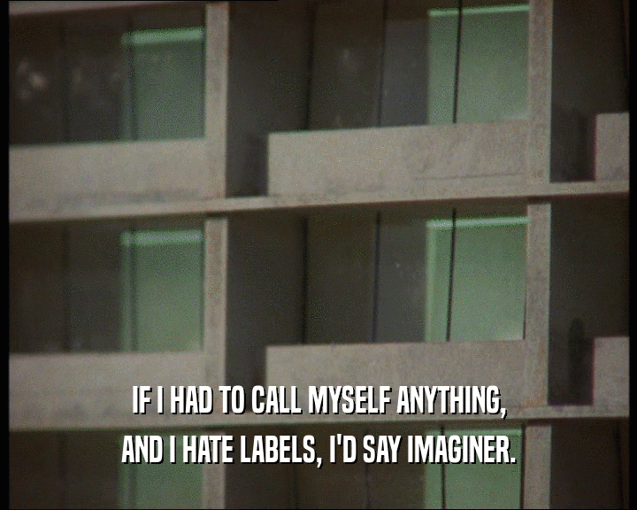 IF I HAD TO CALL MYSELF ANYTHING,
 AND I HATE LABELS, I'D SAY IMAGINER.
 
