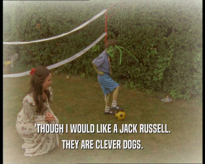'THOUGH I WOULD LIKE A JACK RUSSELL. THEY ARE CLEVER DOGS. 