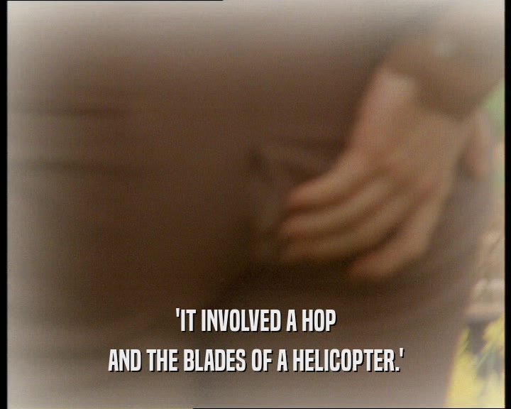 'IT INVOLVED A HOP
 AND THE BLADES OF A HELICOPTER.'
 