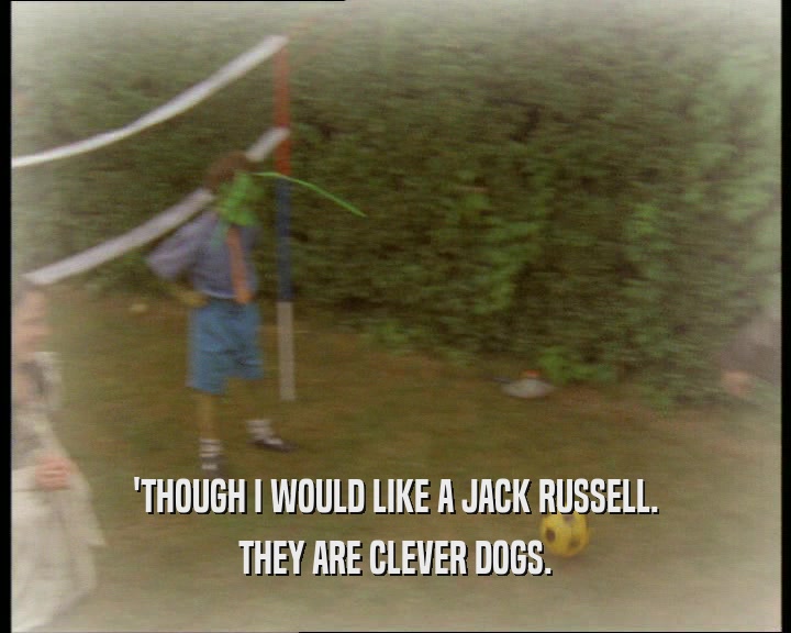 'THOUGH I WOULD LIKE A JACK RUSSELL.
 THEY ARE CLEVER DOGS.
 