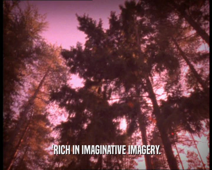 'RICH IN IMAGINATIVE IMAGERY.  