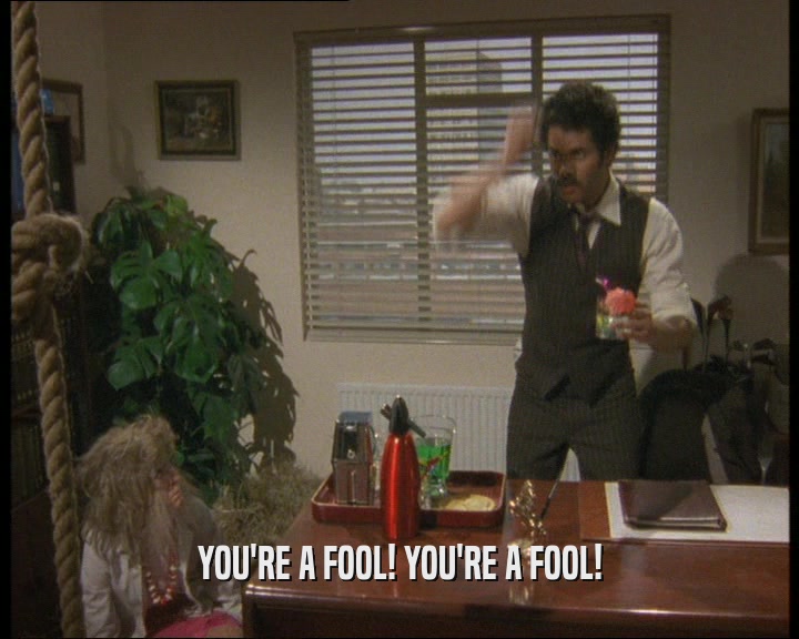 YOU'RE A FOOL! YOU'RE A FOOL!
  