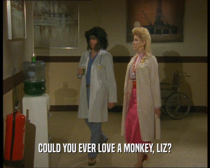COULD YOU EVER LOVE A MONKEY, LIZ?  