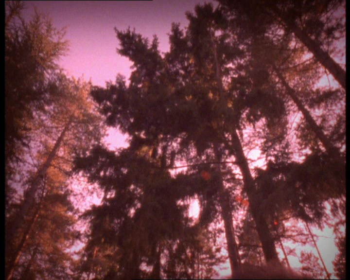 'I FOUND MYSELF ALONE IN A PRIMITIVE LAND 