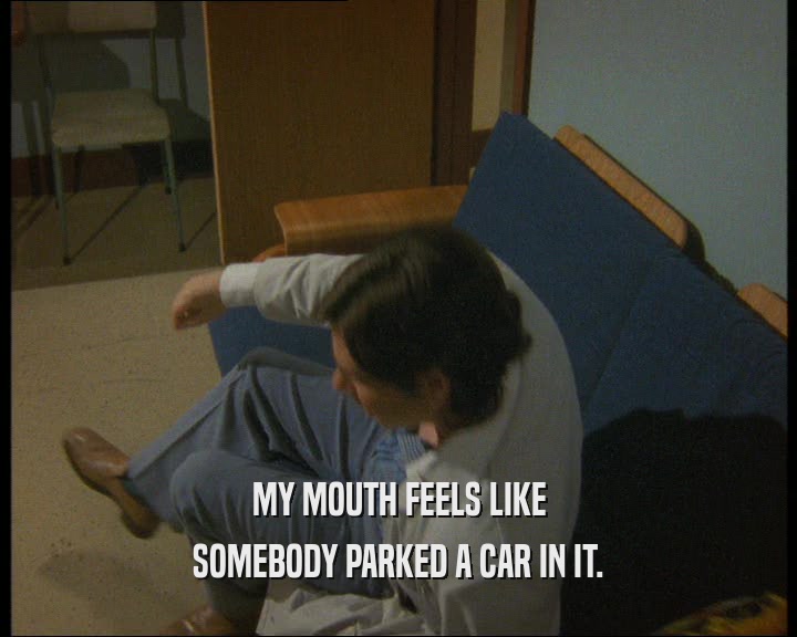 MY MOUTH FEELS LIKE
 SOMEBODY PARKED A CAR IN IT.
 