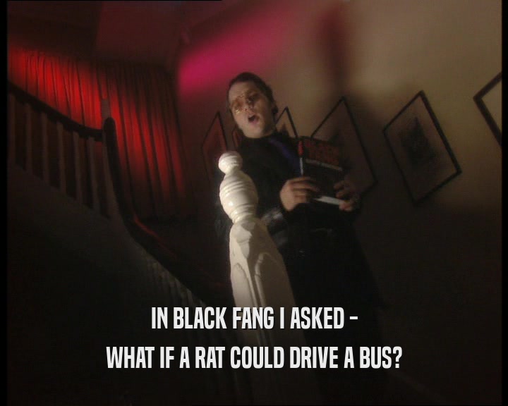 IN BLACK FANG I ASKED -
 WHAT IF A RAT COULD DRIVE A BUS?
 