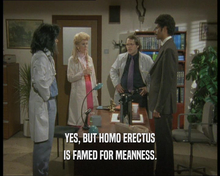 YES, BUT HOMO ERECTUS
 IS FAMED FOR MEANNESS.
 