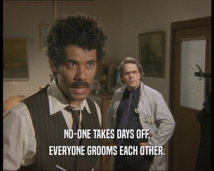 NO-ONE TAKES DAYS OFF,
 EVERYONE GROOMS EACH OTHER.
 