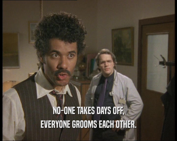 NO-ONE TAKES DAYS OFF,
 EVERYONE GROOMS EACH OTHER.
 