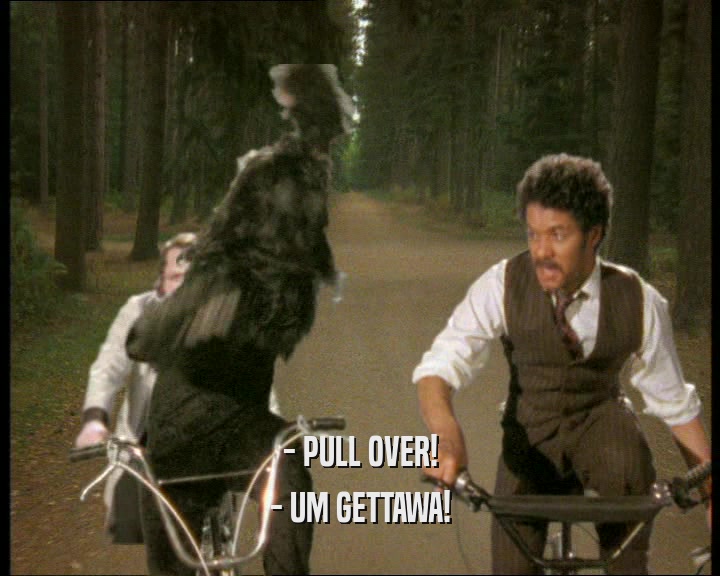 - PULL OVER! - UM GETTAWA! 