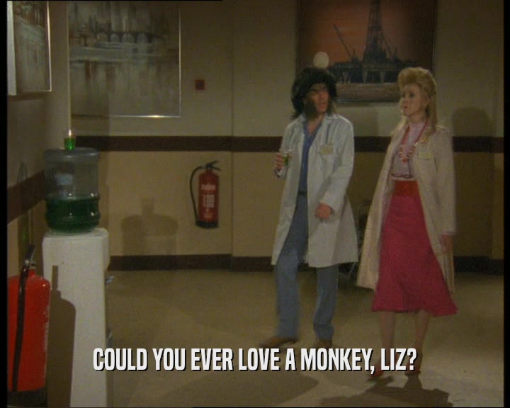 COULD YOU EVER LOVE A MONKEY, LIZ?
  