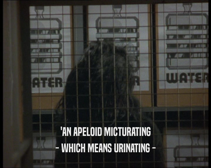 'AN APELOID MICTURATING
 - WHICH MEANS URINATING -
 