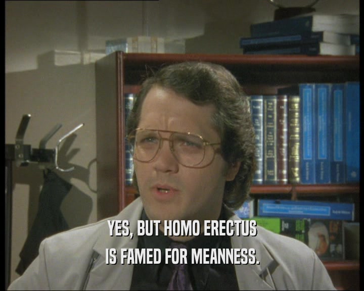 YES, BUT HOMO ERECTUS
 IS FAMED FOR MEANNESS.
 